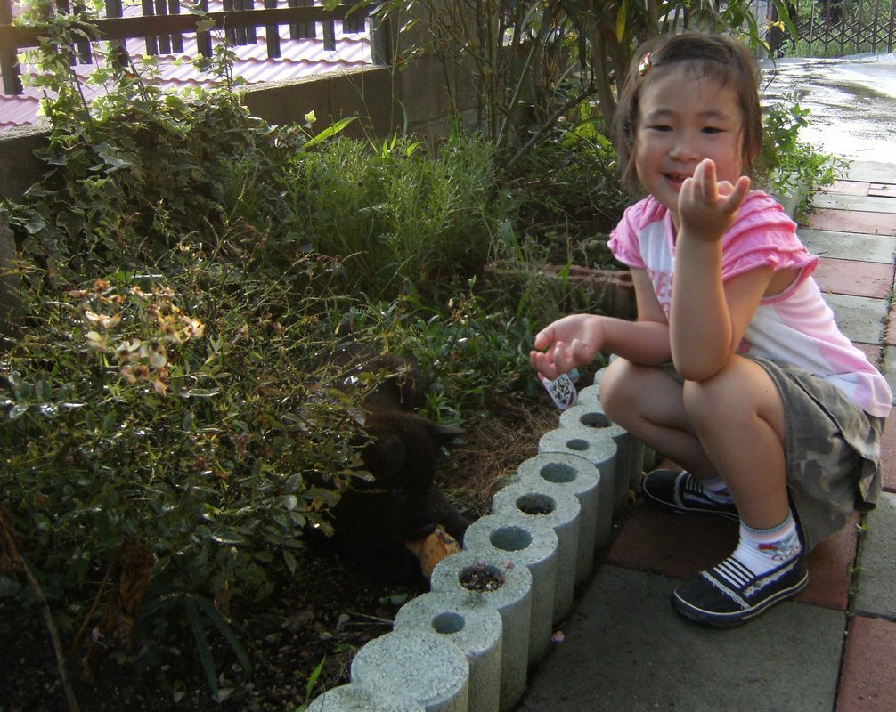 Stay Indoors,The inside