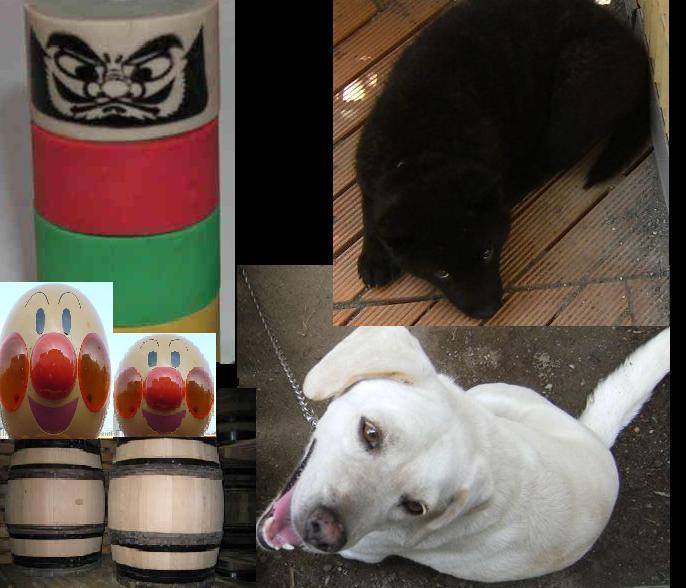 Stay Indoors,The inside