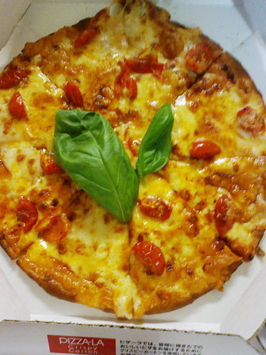 Stay Indoors,The inside