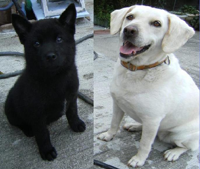 Stay Indoors,The inside