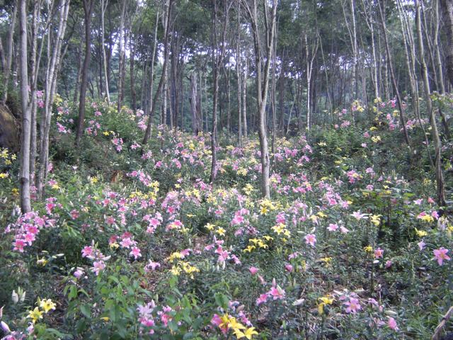 Stay Indoors,The inside