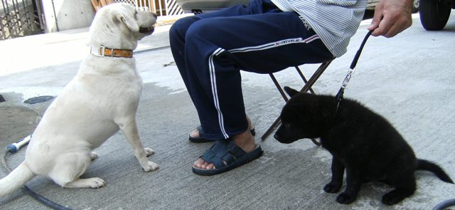 Stay Indoors,The inside