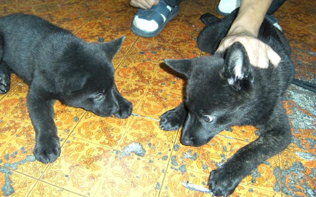 Stay Indoors,The inside