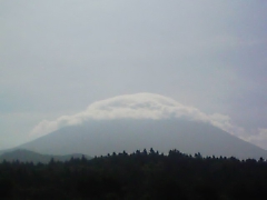 Stay Indoors,The inside