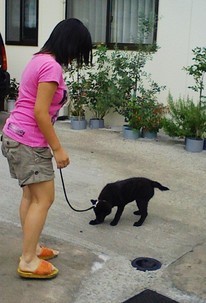 Stay Indoors,The inside