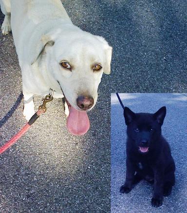 Stay Indoors,The inside