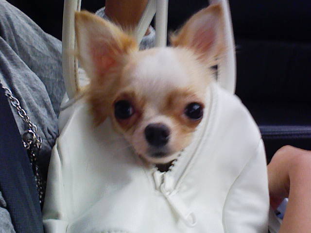 Stay Indoors,The inside