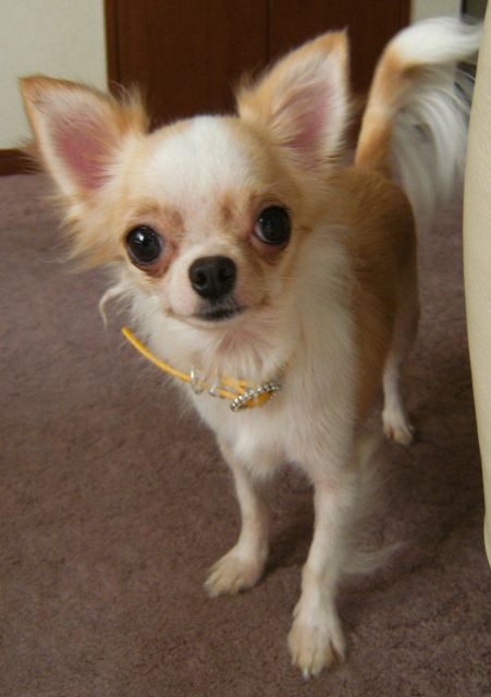 Stay Indoors,The inside