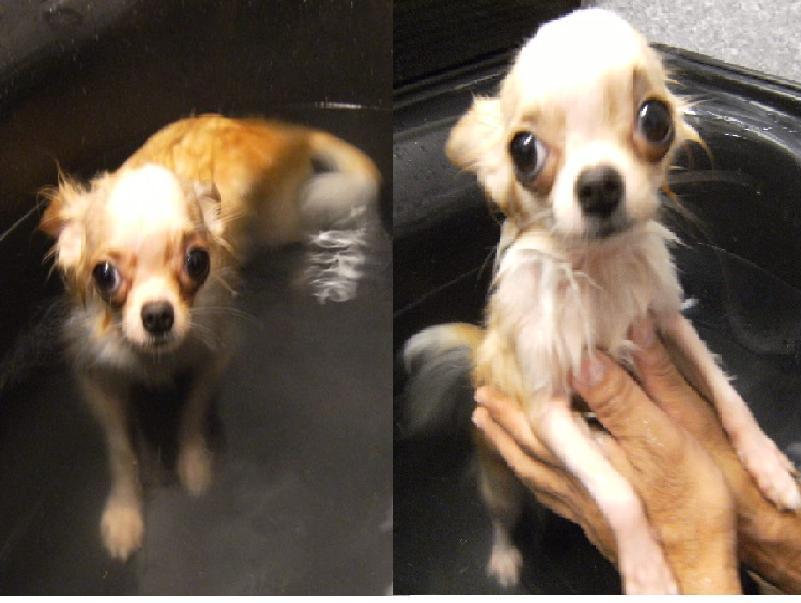 Stay Indoors,The inside