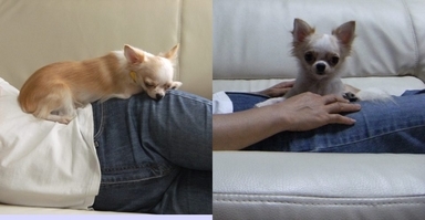 Stay Indoors,The inside