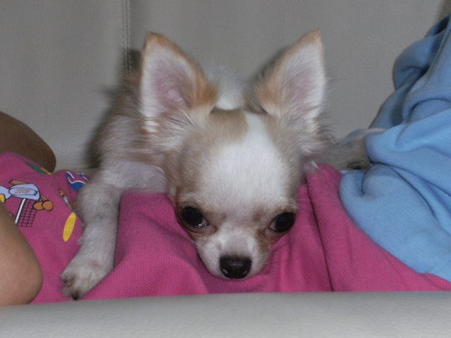 Stay Indoors,The inside