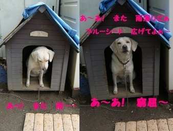 Stay Indoors,The inside