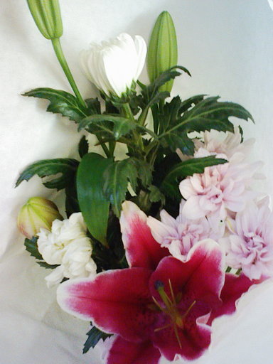 Stay Indoors,The inside