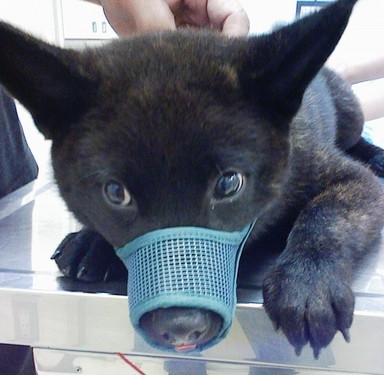 Stay Indoors,The inside