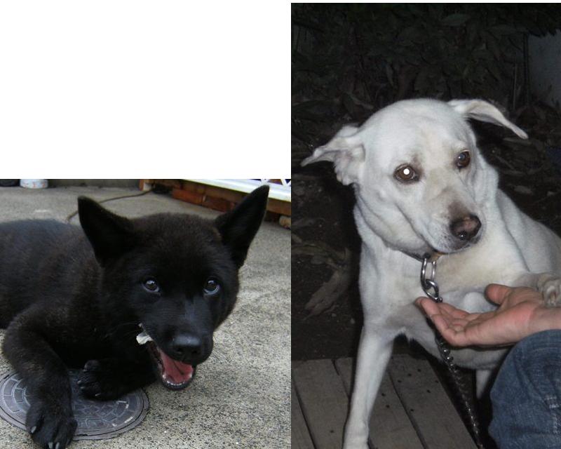 Stay Indoors,The inside