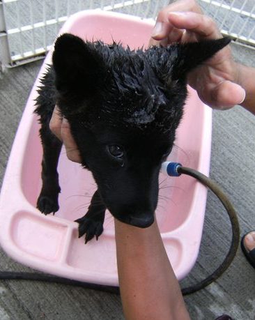 Stay Indoors,The inside