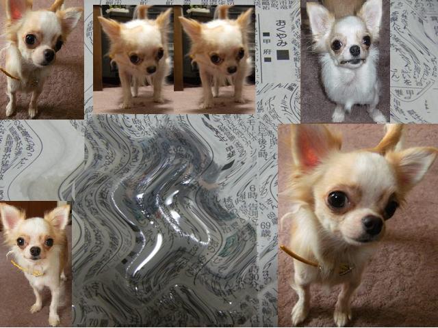 Stay Indoors,The inside