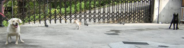 Stay Indoors,The inside