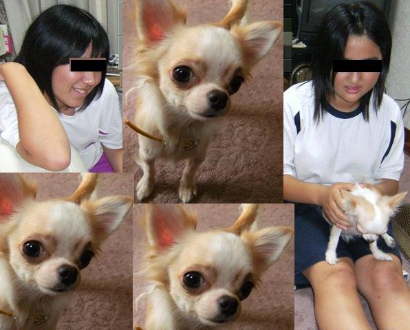 Stay Indoors,The inside