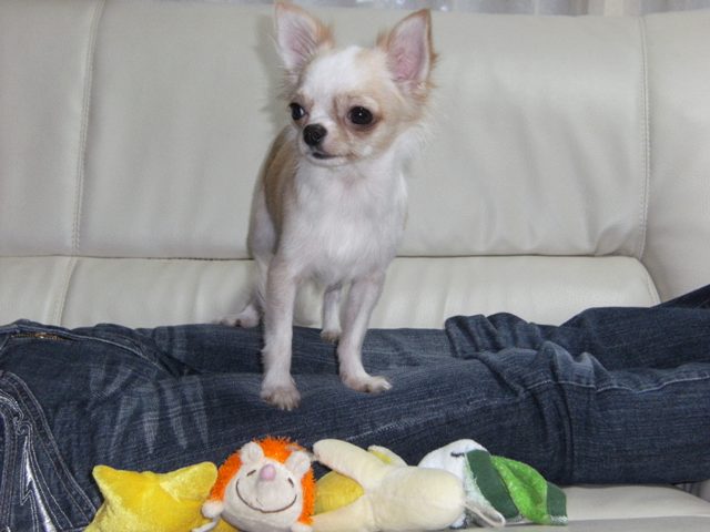 Stay Indoors,The inside