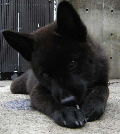 Stay Indoors,The inside