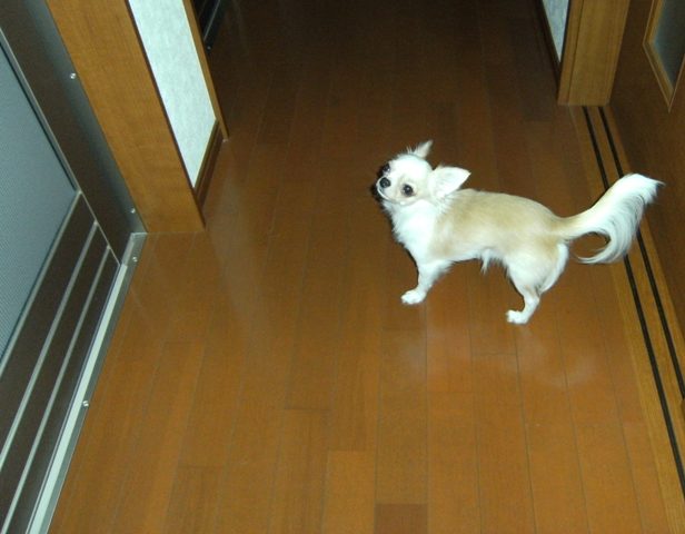 Stay Indoors,The inside