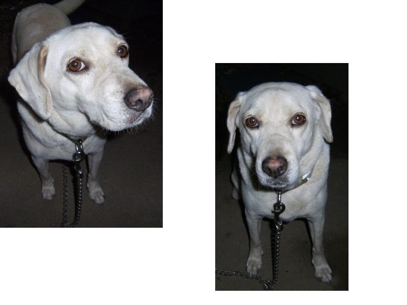 Stay Indoors,The inside