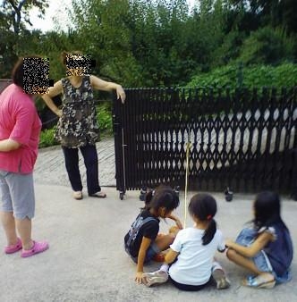 Stay Indoors,The inside