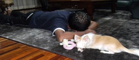 Stay Indoors,The inside