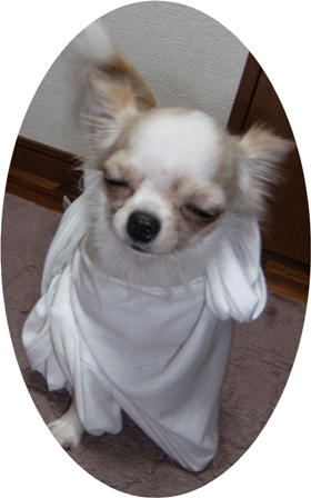 Stay Indoors,The inside