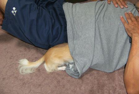 Stay Indoors,The inside