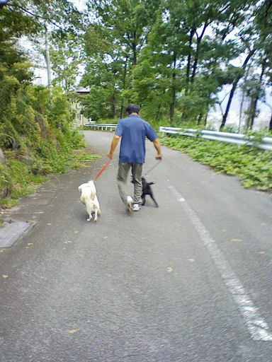 Stay Indoors,The inside