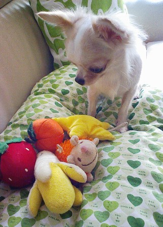 Stay Indoors,The inside