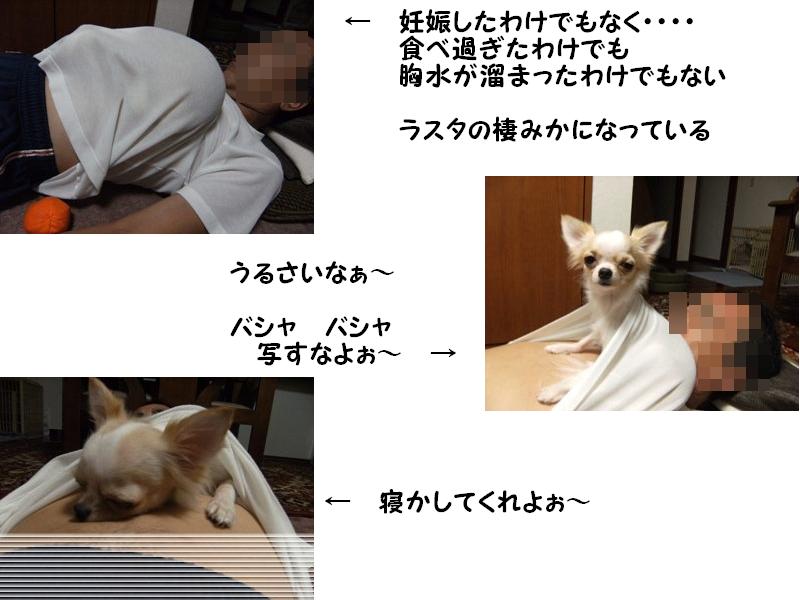 Stay Indoors,The inside