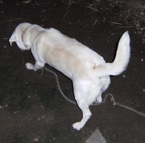 Stay Indoors,The inside