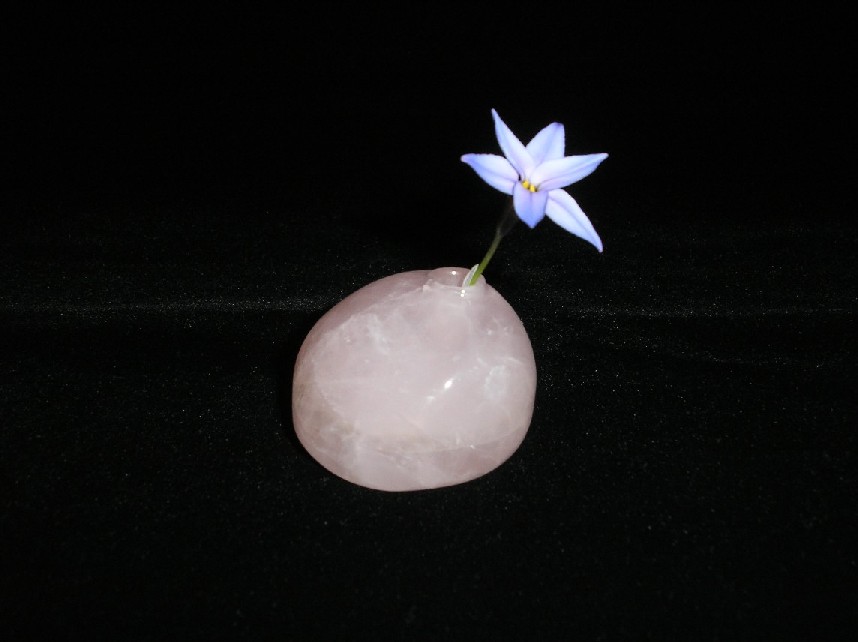 Craftsman-ship�@�@�@�����x��Ƃɂ�遙����