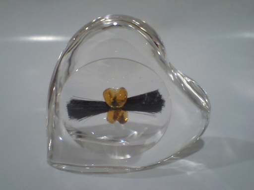 Craftsman-ship�@�@�@�����x��Ƃɂ�遙����