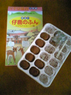 ���ꂿ���������