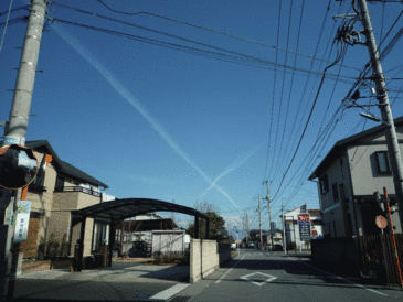 ���ꂿ���������