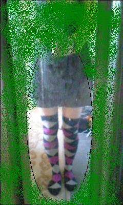 ���ꂿ���������