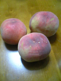 ���ꂿ���������