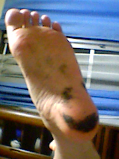 ���ꂿ���������