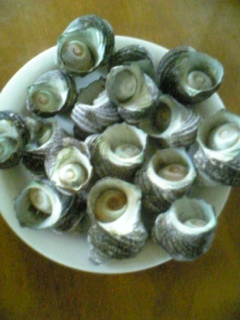 ���ꂿ���������