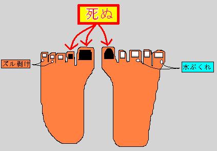 ���ꂿ���������