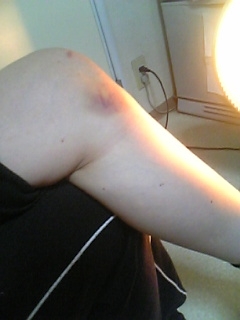 ���ꂿ���������