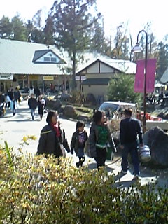 ���ꂿ���������