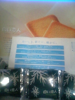 ���ꂿ���������