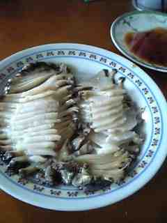 ���ꂿ���������