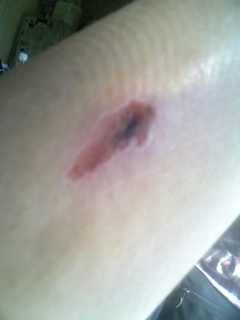 ���ꂿ���������