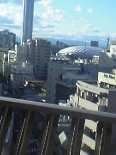 ���ꂿ���������